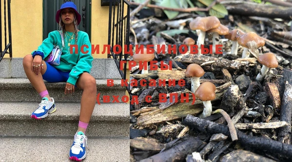 прущие крисы Бронницы