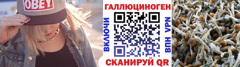 Галлюциногенные грибы мухоморы  Реж 